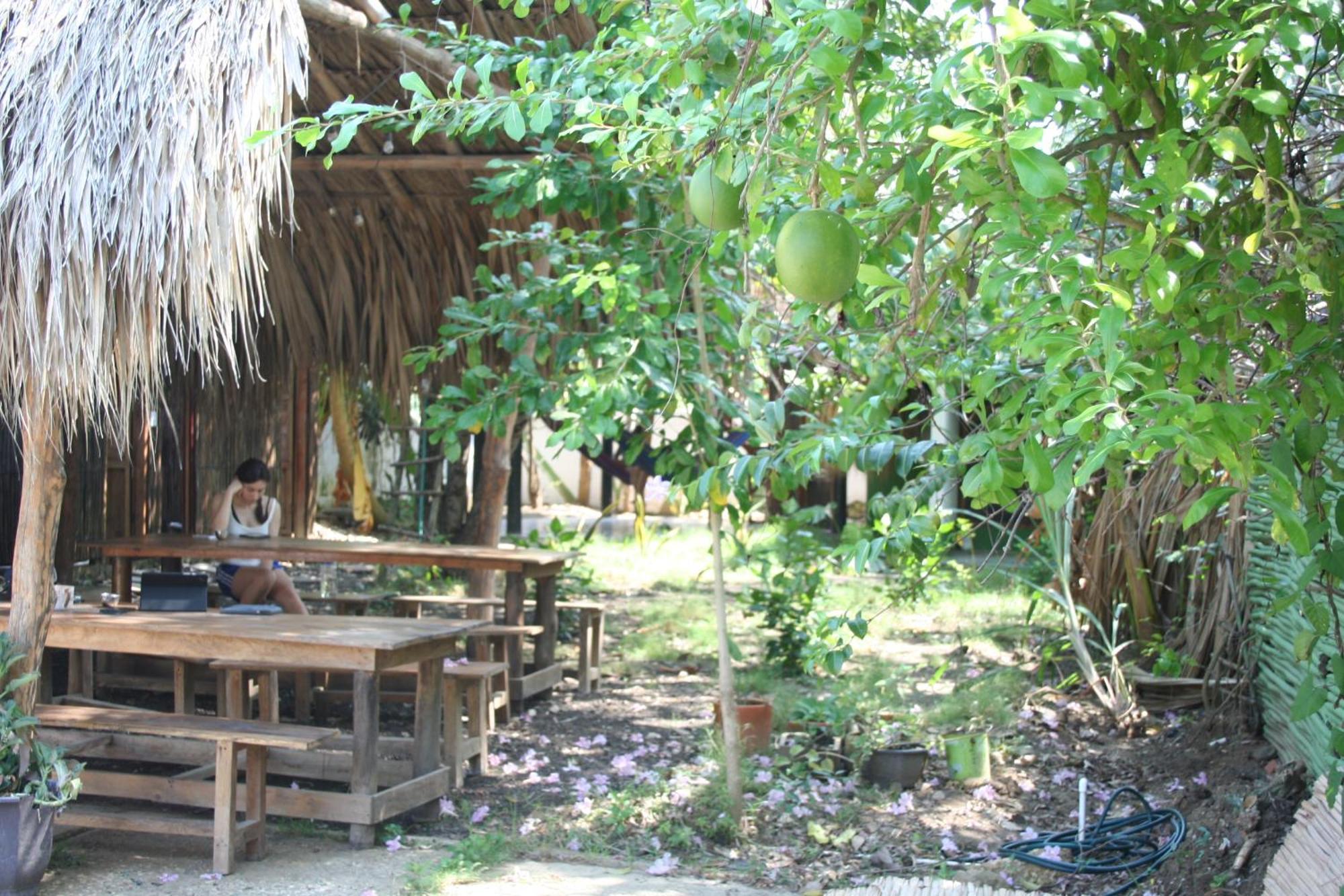 Hostel Nugeku Rincón Εξωτερικό φωτογραφία